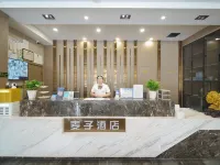 Shanshan Maizi Hotel (Kumutage Desert) Hotels in Shanshan