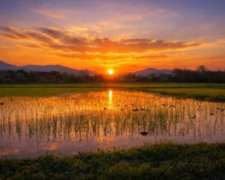 リバー ベンド ヴィラ メーリムのホテル