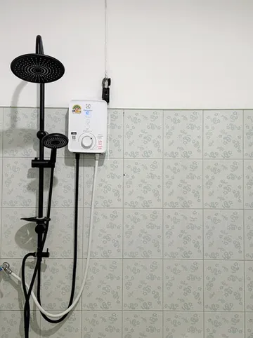 รูปภาพของป่าเซน