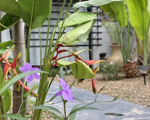 Baaninkan Homestay in kanchanaburi city Ngoại thất Photos