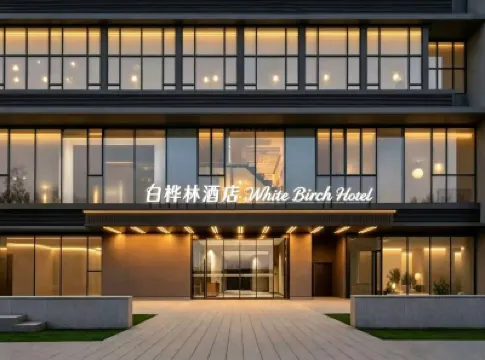 바이화린 호텔 (싱양 우위에 플라자 정저우 서부 고속철도역)  호텔