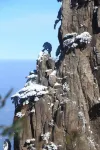 Holiday Inn Express Huangshan Mountain South Gate by IHG - Mountain view