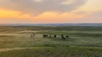 a peaceful home