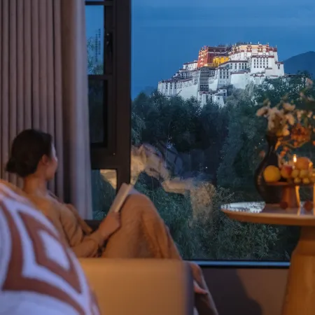 Poshe Guanjing Oxygen-enriched Hotel (Potala Palace Jokhang Temple)