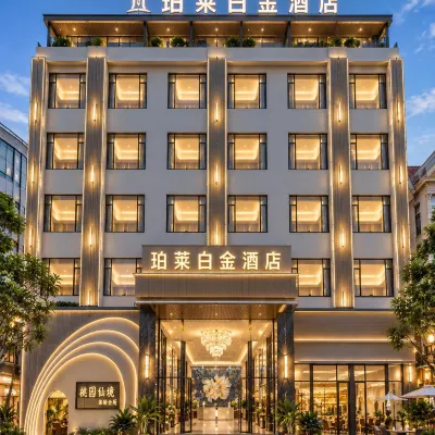 珀萊白金飯店BOLAIBAIJINLVIENTIANE提前預約免費接送機•自助洗衣 Northern巴士站附近的飯店