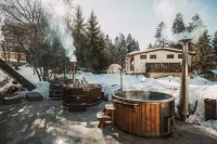 Chalet Evergreen Borovets - 停車場