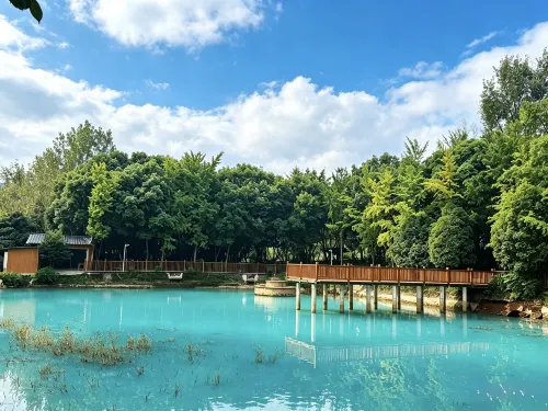 Banshandu · Villa Homestay (Panda Base) - Mountain view