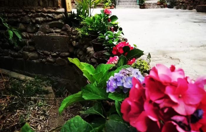 Chisa characteristic town Ruli Jingwan B&B