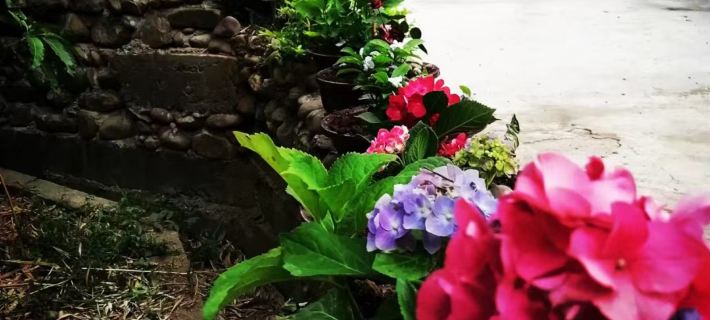 Chisa characteristic town Ruli Jingwan B&B Hotels in Xinping