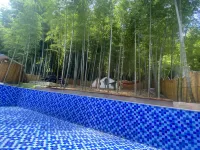 Nanshan Bamboo Sea style Xiaoyuan Guesthouse - Swimmingpools