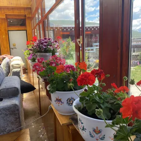 Daojing Shuwan Homestay