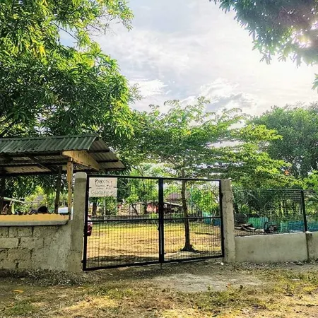 Albert's Transient House