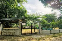 Albert's Transient House Hotels in Calatagan