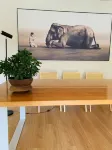 Guyuqing 㭎 Zhai Garden Homestay Hotels in Gulin