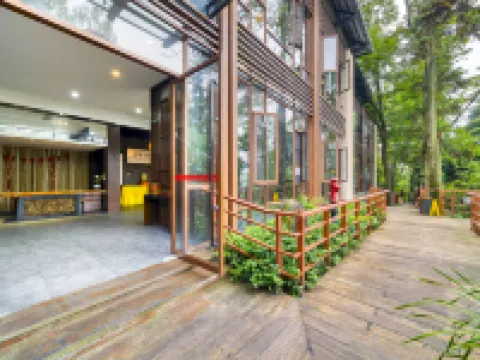 Emei Mountain Wannian Shanju Hotel Hotels near Qingyin Pavilion