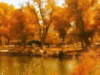 Bachu Huijin Hotel Hotels in Maralbexi