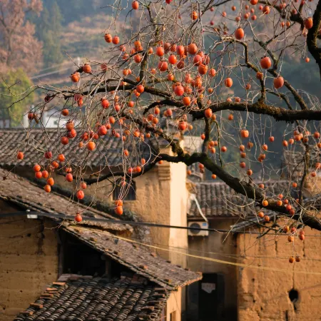 Songyang Qingfeng Yuanying