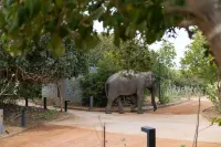 Hilton Yala Resort Hotels in 