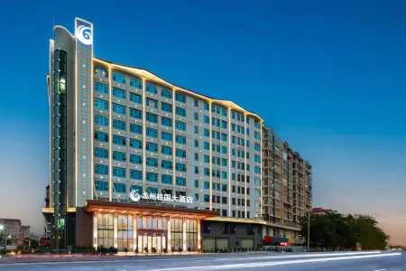 Longzhou international hotel Отели в г. Лунчжоу