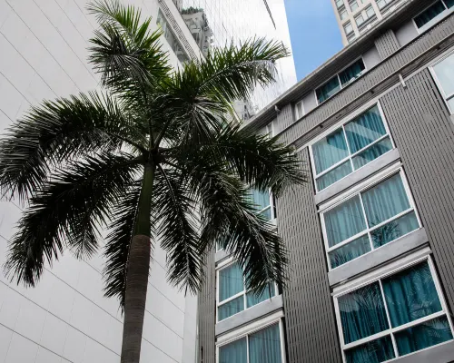 โรงแรมนันทรา สุขุมวิท39 โรงแรมใกล้บีทีเอส พร้อมพงษ์