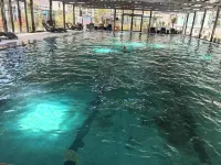 Daocheng Jifeng Hot Springs Resort Hotel - Swimmingpools