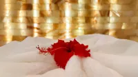 里亞茲拉瓦尼亞酒店 - SPA