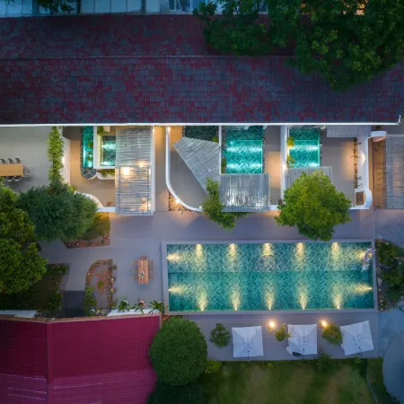 Leisurely Dwelling: Hidden Realm of Trees