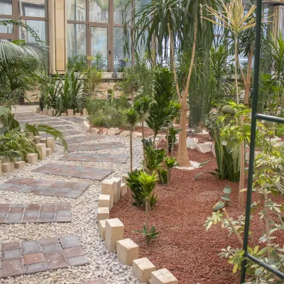 花園廣場布哈拉 鄰近布哈拉機場的酒店