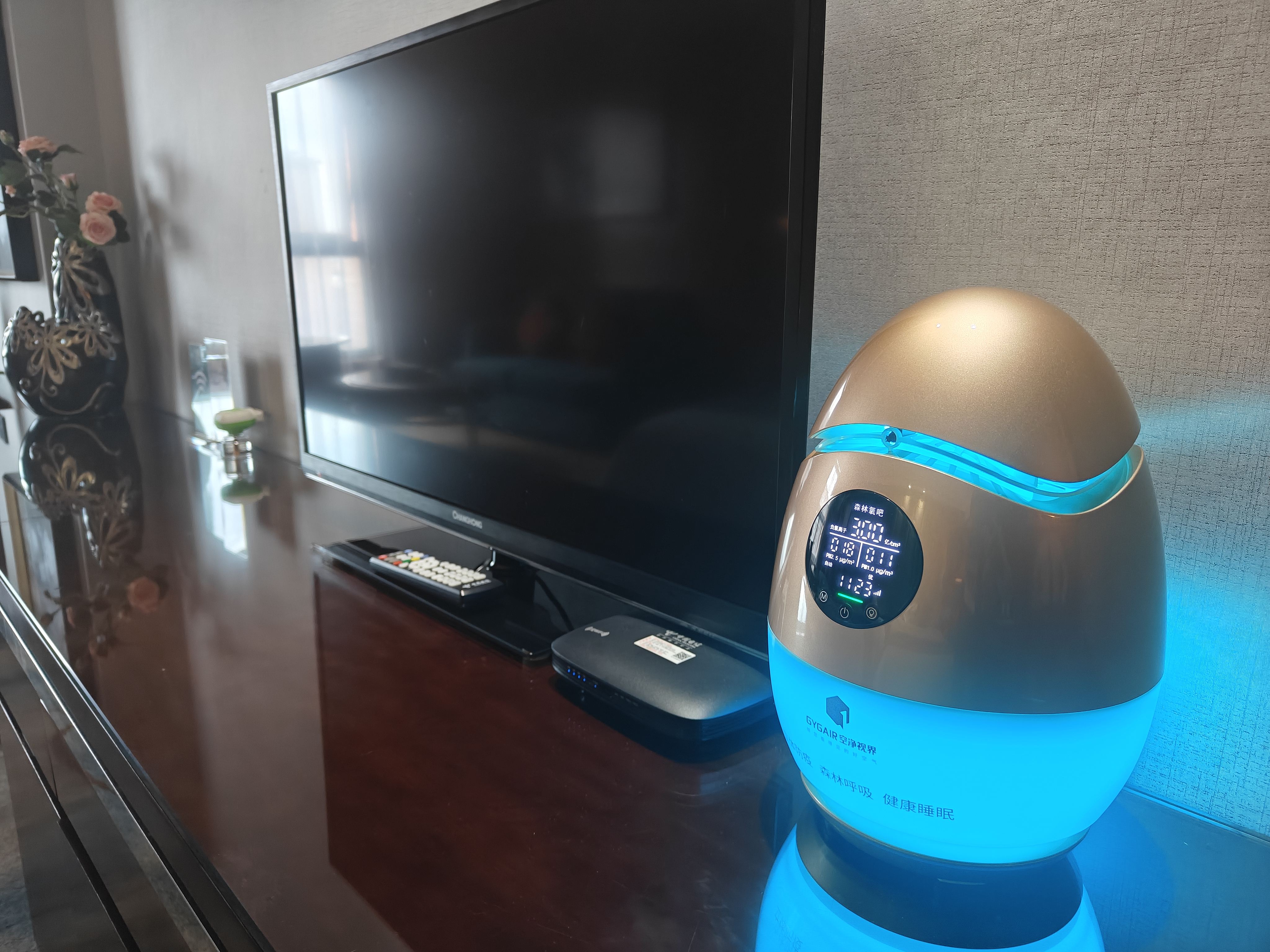 成都賽侖吉地大飯店（雙流機場店） 房間 Photos