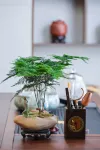 尋夢晞岸·宋氏美學輕奢民宿（宜興窯湖小鎮店）