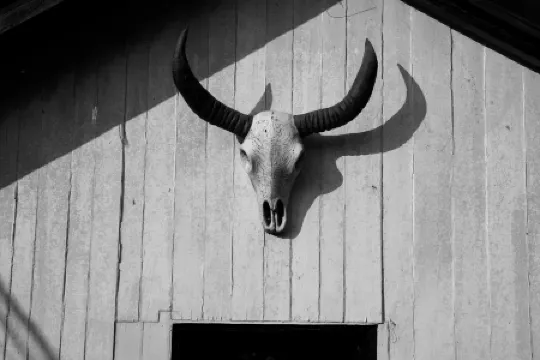 Aashraya Bed and Breakfast