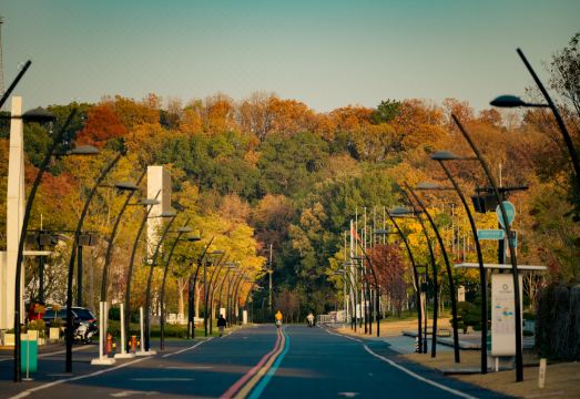 홀릭 호텔 객실 사진