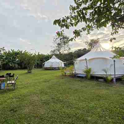 OneSeasonFarm Chiangsaen Rooms