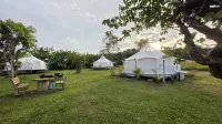 OneSeasonFarm Chiangsaen