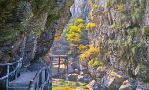 Shitai Guniujiang Creek Tea Serenity Homestay