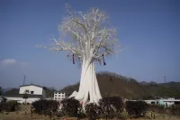 泗河濕地房車營地（十堰武當山機場店） - Bjergudsigt