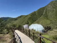Yuanping Mutu Ancient Village Starry Sky Room - Homestays