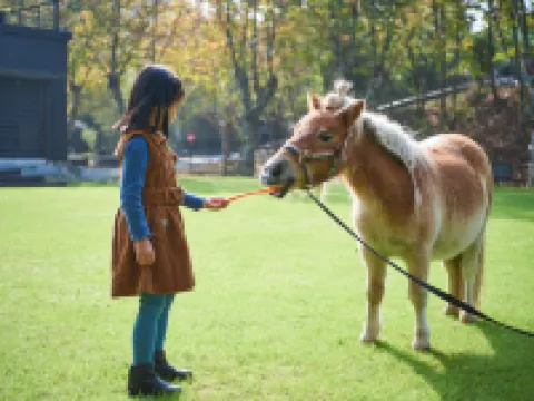 naked Stables Resort Hoteles en Deqing