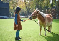 naked Stables Resort