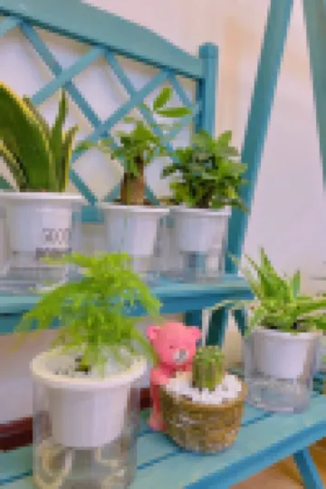 資興湘南水藴精品客棧