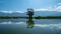大理古城悅山海伴山墅奢ホテル - オーシャンビュー