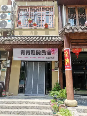 Elegant Villa Отели в г. Таоюань