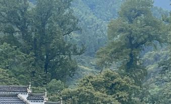 Wuyuan Fengyin Mountain Lodge
