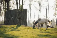 INTO Hotel Chibi - Small Luxury Hotels of the World - Family