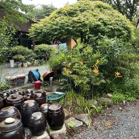 MAUMAEGOHYANG
