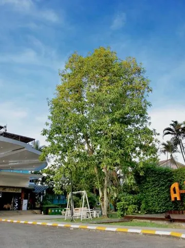 รูปภาพของโรงแรม เอเต้ ชุมพร