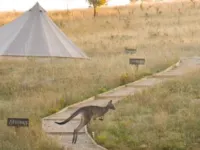 Glenayr Farm Hotels in Windeyer