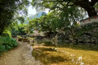 黃姚悅舍度假飯店 - 景觀