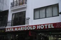 SaPa Marigold Hotel