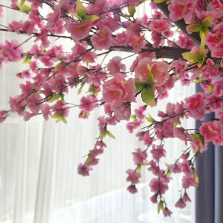 Jinfeng Mingren Hotel